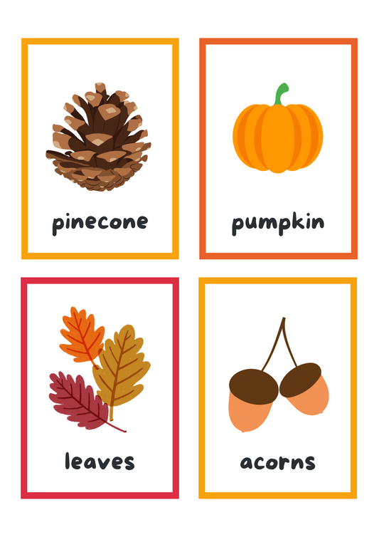 Autumn Flash cards Digital Download Resource